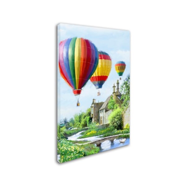 The Macneil Studio 'Hot Air Balloons' Canvas Art,30x47